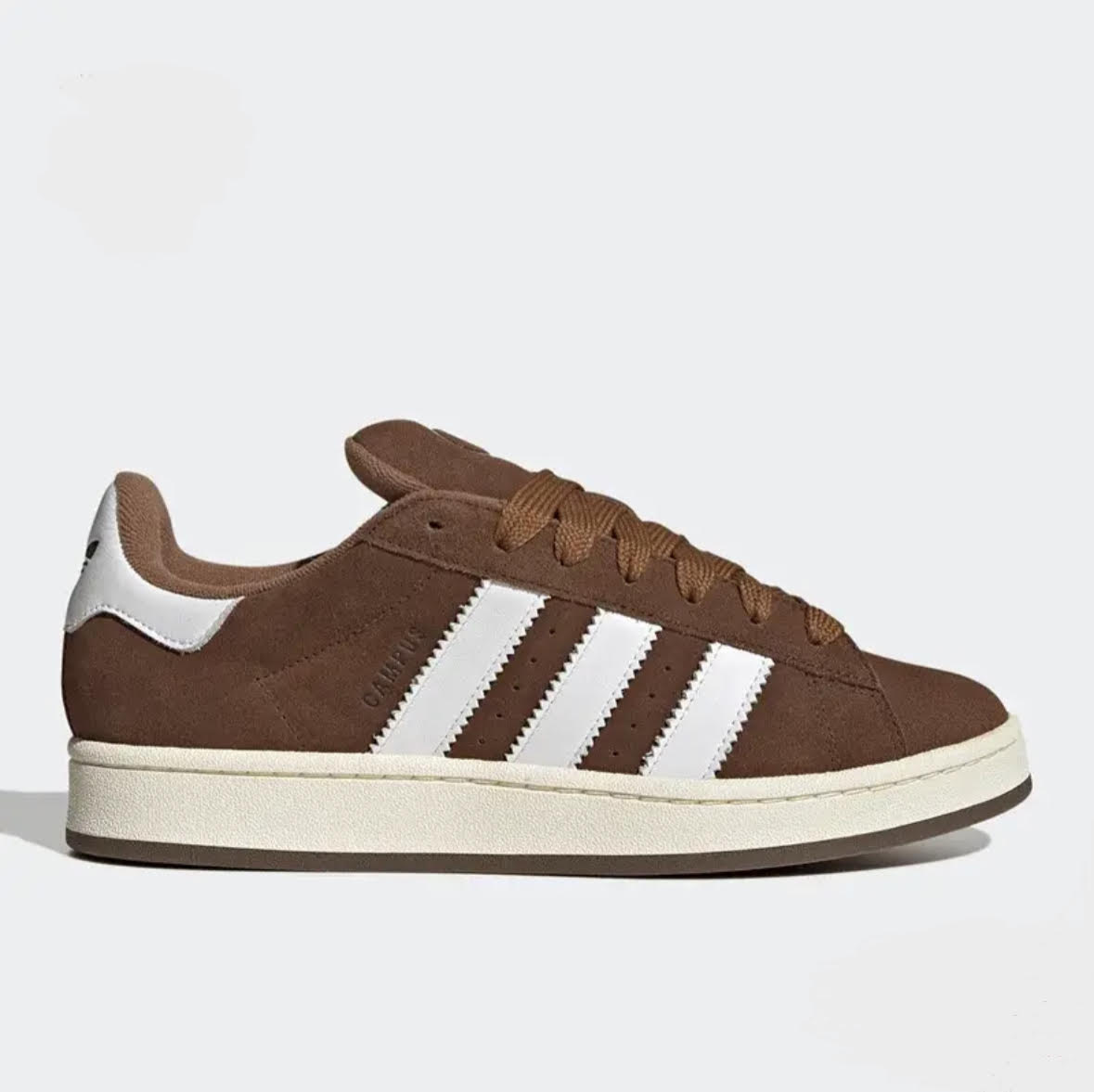 Adidas Campus - Bruin